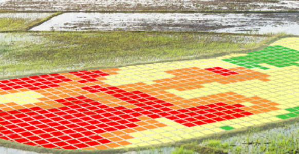 Fertilizare Variabila